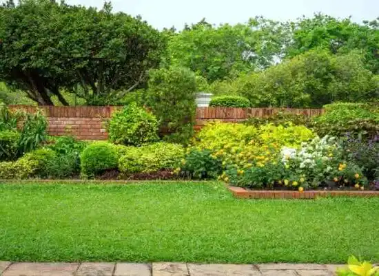 landscaping services Clearbrook